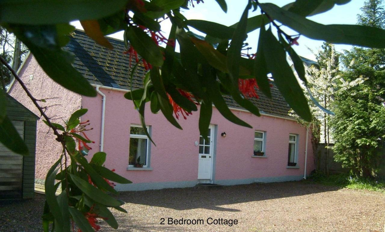 Hallmount Cottage - Belfast Ngoại thất bức ảnh